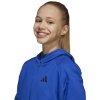 Adidas Future Icons 3-Stripes Sweatshirt Hooded