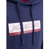 Jack&Jones Hoodie INWOOD