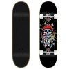 jart komplett skateboard hoffman 775