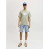 JACKJONES Springsummer 4951904 12290839 4