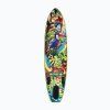 iBOARD 8 TOUCAN 11