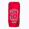 iBOARD 8 TOUCAN 11