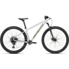 56348 specialized rockhopper expert gloss silver dust satin burnt gold metallic
