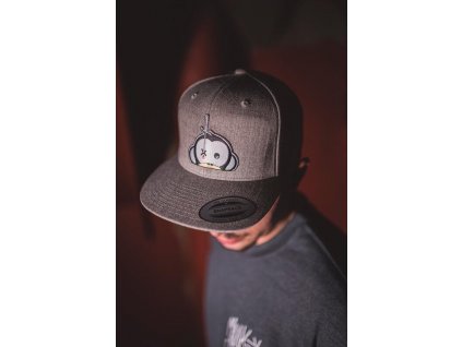 Monkey Climber kšiltovka Logo Patch Snapback Grey