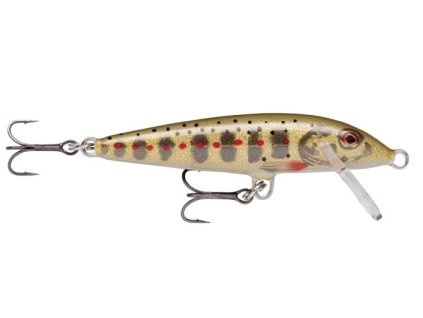 rapala wobler count down sinking gjtr