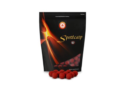 564587259 1233067152179101 7289145760695279680 n