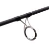 CarpPro kaprový prut Torus 10 ft 3 lb (TRSC300)