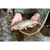 FishUp dipované gumové nástrahy Tanta 51 mm - 2 9 ks