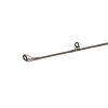 privlacovy prut delphin quest b cast 1
