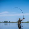 avid carp kaprove pruty revolve rods 12