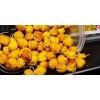 chytil rohlikovy boilies 8 mm 22 g (5)