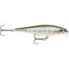 Rapala wobler BX Minnow 10 (mělce se potápějící)