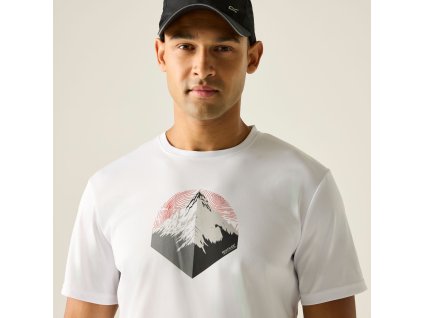 Web version RMT341 900 M 4