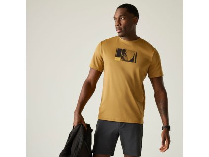 Web version RMT341 ZIQ M 1