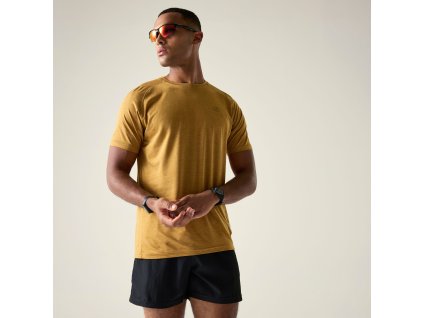 Web version DMT595 ZIQ M 1