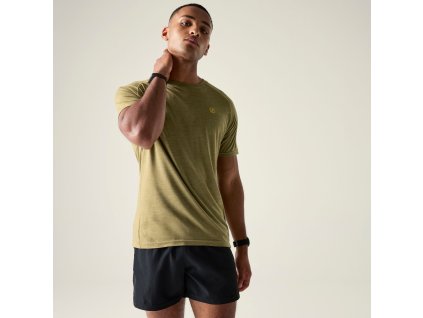 Web version DMT595 ZS6 M 1