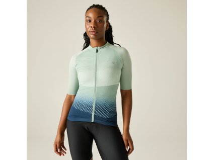 Web version DWT812 YTW M 1