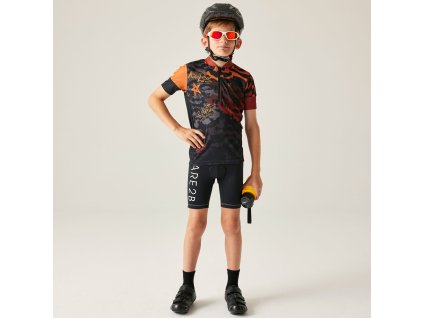 Web version DKJ400 800 M 3