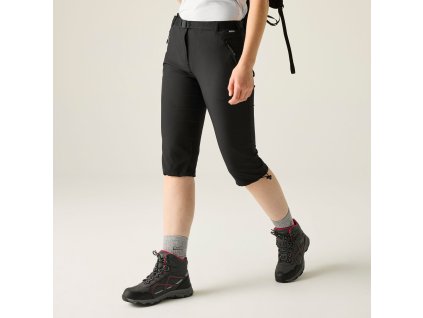 Web version RWJ363 800 M 1