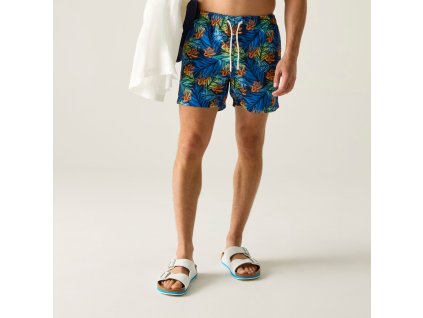 Web version RMM014 ZLF M 1