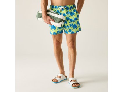 Web version RMM014 ZMJ M 1