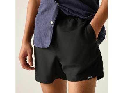 Web version RMM016 ZC8 M 4