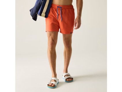 Web version RMM016 ZQJ M 1