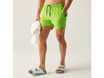 Web version RMM016 ZTF M 1