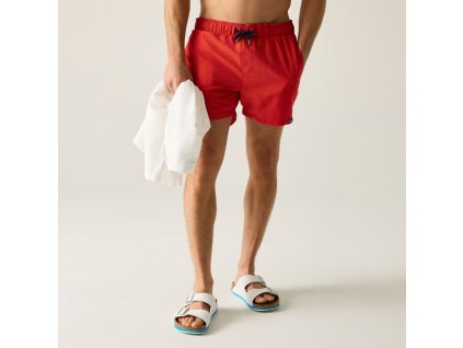 Web version RMM016 ZVN M 1