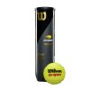 wrt116200 4 us open official extra duty 4ball can w ball.png.cq5dam.web.1200.1200
