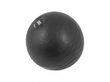 Slamball Ippon Gear 20 kg