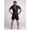 bjj no gi rashguard cerny ippongear ubma 4
