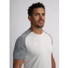 Tričko šedé Ippongear Performance pánské