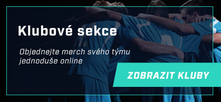 Klubové sekce