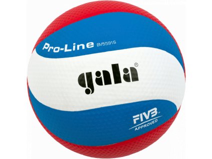 Volejbalová míč GALA BV5591S Pro-Line pro vrcholový sport