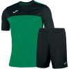 Sada dresů JOMA Winner I 15ks komplet dres a trenky zelená černá