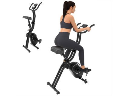 IN 29821 main s modelkou