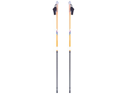 Nordic walking túrabot inSPORTline Potosi