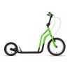 zenit 2020 green