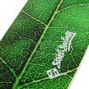 0601016 6 The Leaf 06 01 016 2