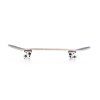 free spirit skateboard 2