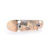 free spirit skateboard 4