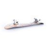 free spirit skateboard 5