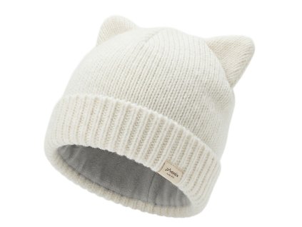 image 2026 01 22T170241.213