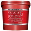 100% Whey Protein Professional 5000 g - Scitec Nutrition