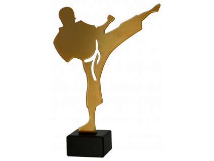 sportovni pohary 4j ml kar karate