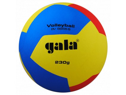Volejbalový míč Gala Volleyball 12 5655 S/230g