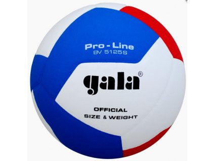 Volejbalový míč Gala Pro Line 12 BV 5125