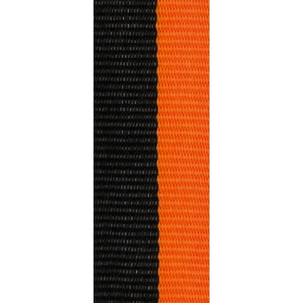 Stuha na medaili s karabinou C22