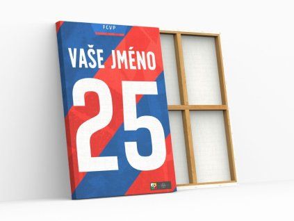 VIKTORIA PLZEŇ DRES obraz2